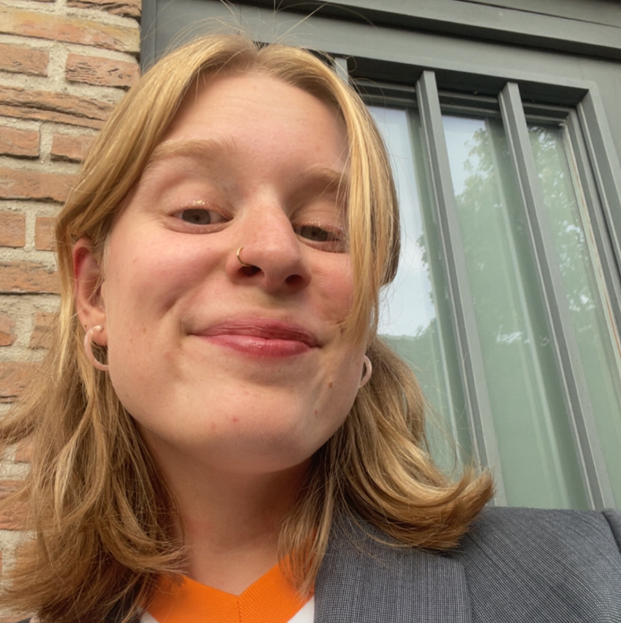 A picture of Idske